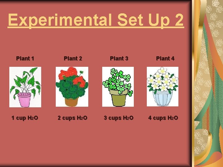 Experimental Set Up 2 Plant 1 Plant 2 Plant 3 1 cup H 2
