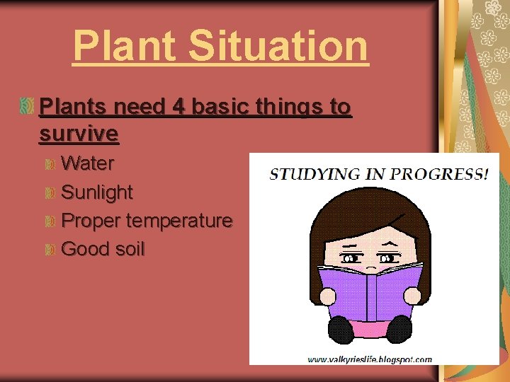 Plant Situation Plants need 4 basic things to survive Water Sunlight Proper temperature Good