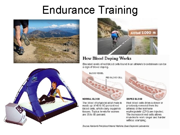 Endurance Training 