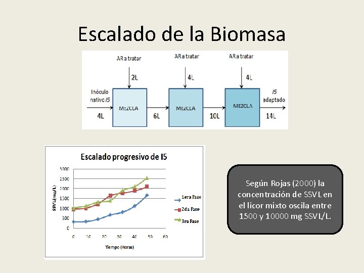 Escalado de la Biomasa Según Rojas (2000) la concentración de SSVL en el licor