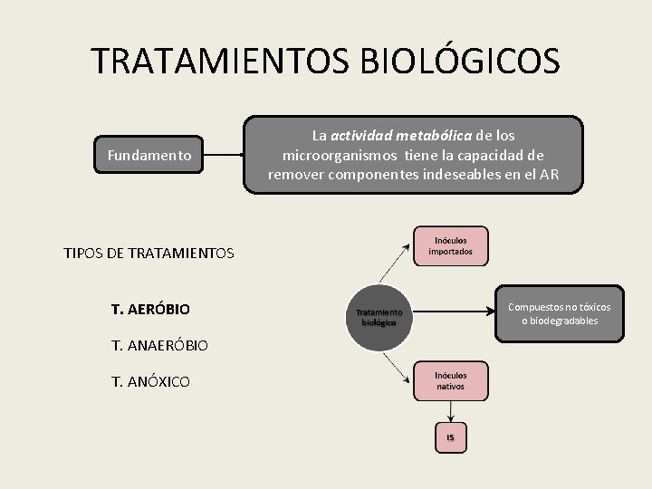 TRATAMIENTOS BIOLÓGICOS Fundamento La actividad metabólica de los microorganismos tiene la capacidad de remover