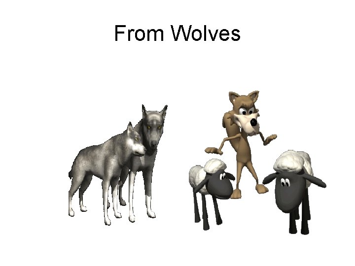 From Wolves 