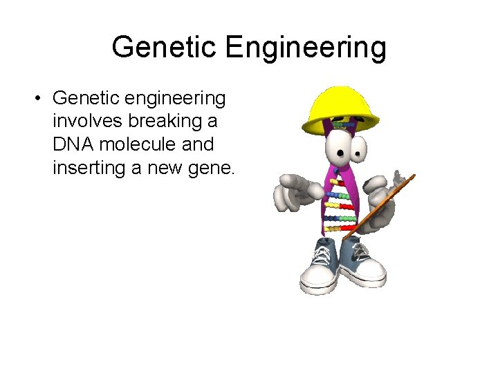 Genetic Engineering • Genetic engineering involves breaking a DNA molecule and inserting a new