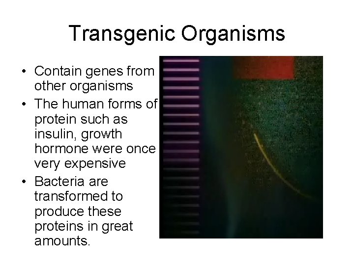 Transgenic Organisms • Contain genes from other organisms • The human forms of protein