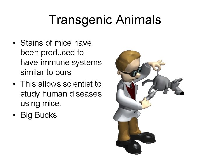 Transgenic Animals • Stains of mice have been produced to have immune systems similar