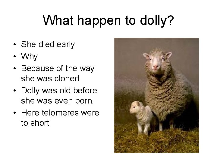 What happen to dolly? • She died early • Why • Because of the