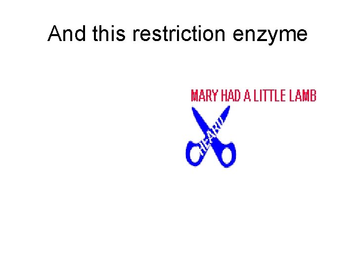 And this restriction enzyme 