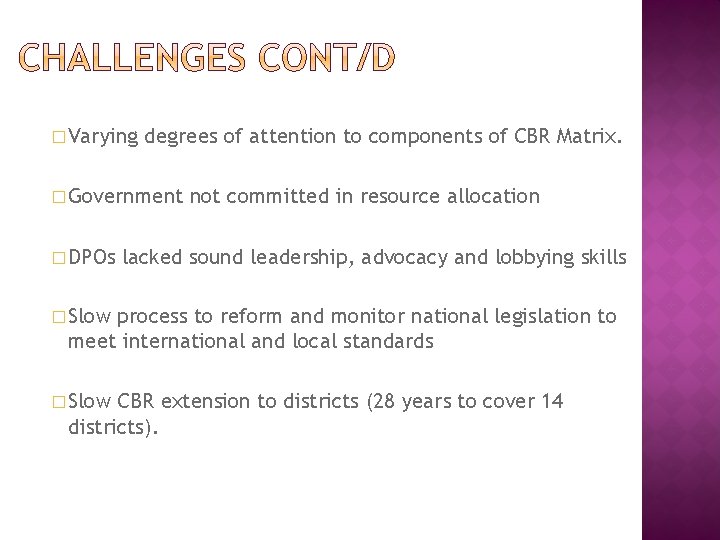 � Varying degrees of attention to components of CBR Matrix. � Government � DPOs � Varying degrees of attention to components of CBR Matrix. � Government � DPOs