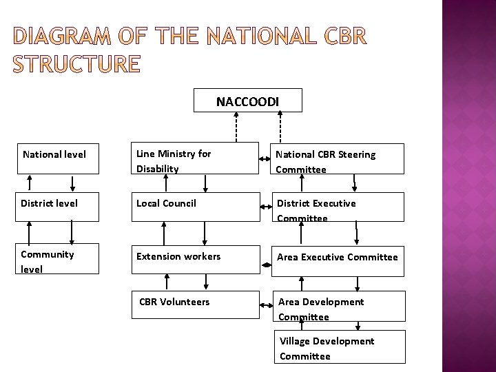 NACCOODI National level Line Ministry for Disability National CBR Steering Committee District level Local NACCOODI National level Line Ministry for Disability National CBR Steering Committee District level Local