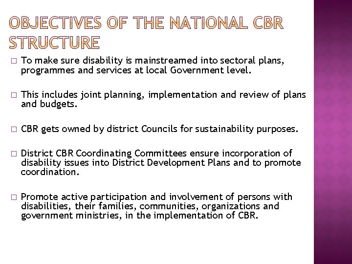 � To make sure disability is mainstreamed into sectoral plans, programmes and services at � To make sure disability is mainstreamed into sectoral plans, programmes and services at