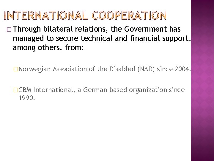 � Through bilateral relations, the Government has managed to secure technical and financial support, � Through bilateral relations, the Government has managed to secure technical and financial support,
