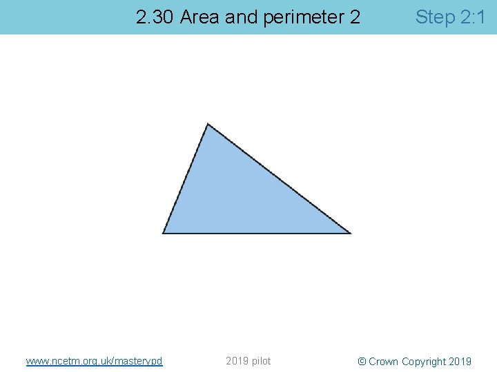 2. 30 Area and perimeter 2 www. ncetm. org. uk/masterypd 2019 pilot Step 2: