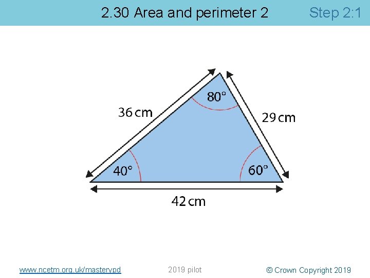 2. 30 Area and perimeter 2 www. ncetm. org. uk/masterypd 2019 pilot Step 2: