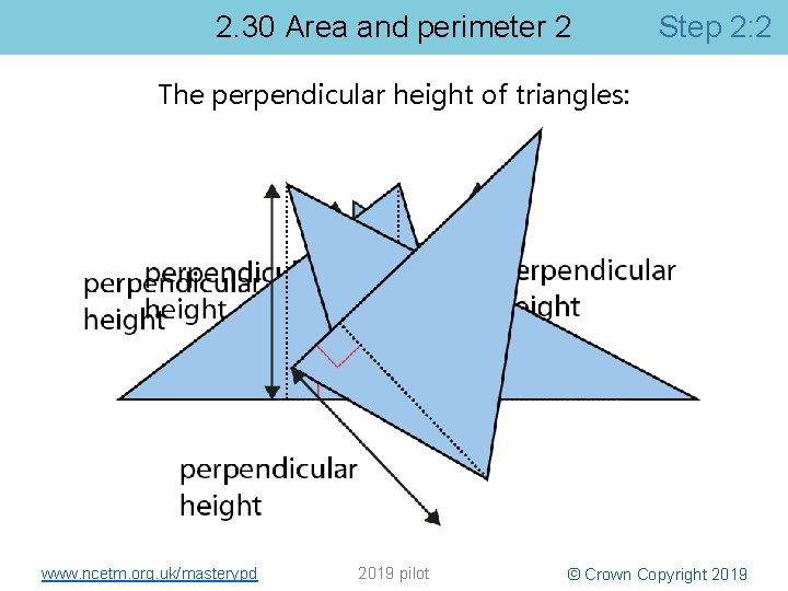 2. 30 Area and perimeter 2 Step 2: 2 The perpendicular height of triangles: