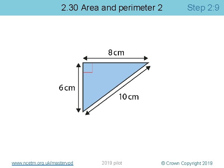 2. 30 Area and perimeter 2 www. ncetm. org. uk/masterypd 2019 pilot Step 2: