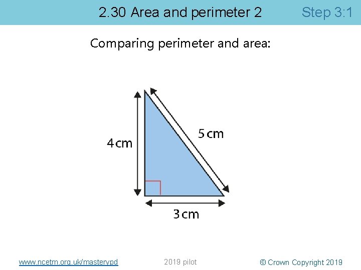 2. 30 Area and perimeter 2 Step 3: 1 Comparing perimeter and area: www.