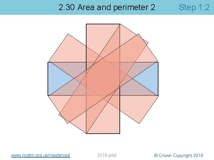 2. 30 Area and perimeter 2 www. ncetm. org. uk/masterypd 2019 pilot Step 1: