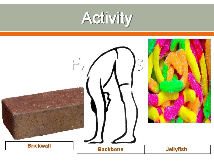 Activity FAMILIES Brickwall Backbone Jellyfish 