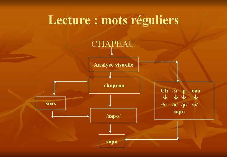Lecture : mots réguliers CHAPEAU Analyse visuelle chapeau sens /sapo/ sapo Ch – a