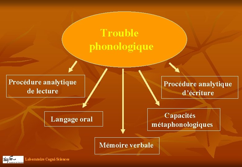  Trouble phonologique Procédure analytique de lecture Langage oral Procédure analytique d’écriture Capacités métaphonologiques