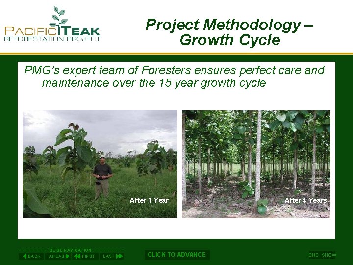 Project Methodology – Growth Cycle PMG’s expert team of Foresters ensures perfect care and