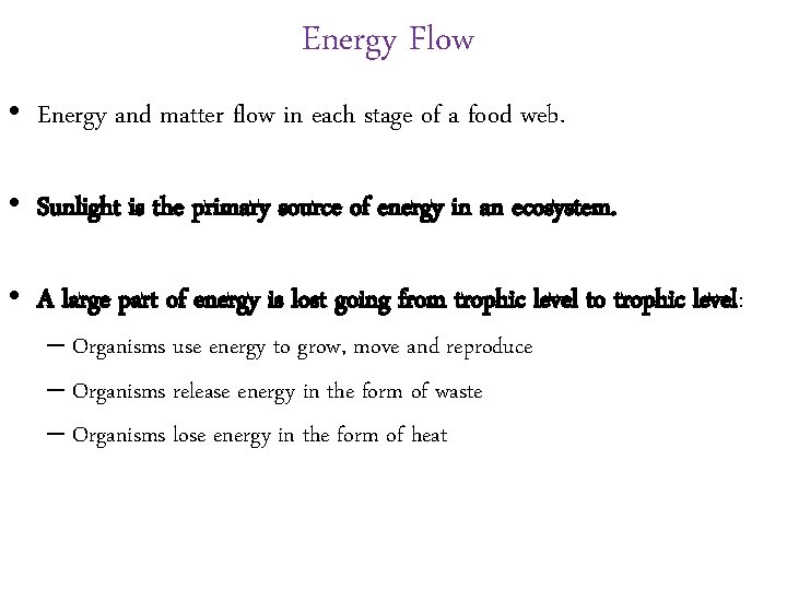 Energy Flow • Energy and matter flow in each stage of a food web.