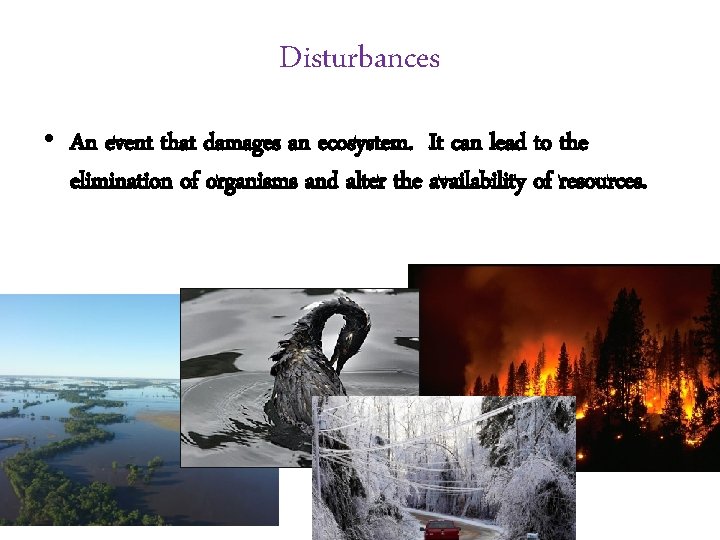 Disturbances • An event that damages an ecosystem. It can lead to the elimination