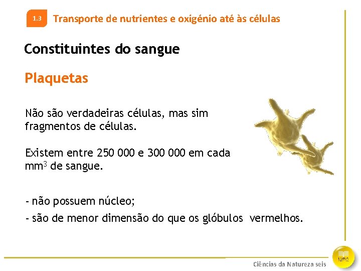 1. 3 Transporte de nutrientes e oxigénio até às células Constituintes do sangue Plaquetas