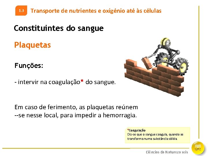 1. 3 Transporte de nutrientes e oxigénio até às células Constituintes do sangue Plaquetas