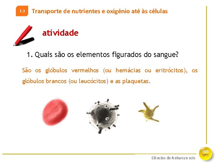 1. 3 Transporte de nutrientes e oxigénio até às células atividade 1. Quais são