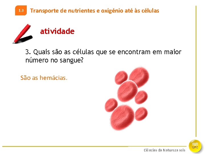 1. 3 Transporte de nutrientes e oxigénio até às células atividade 3. Quais são