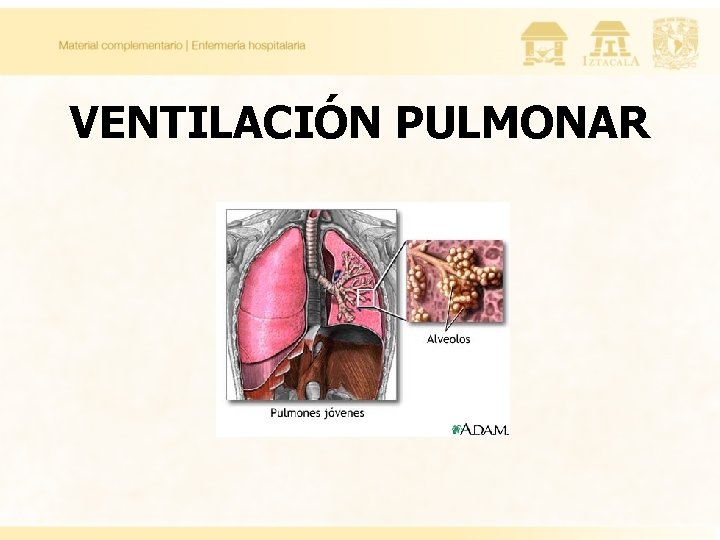 VENTILACIÓN PULMONAR 