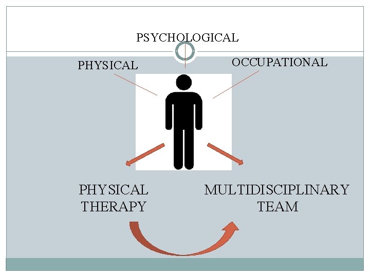 PSYCHOLOGICAL PHYSICAL THERAPY OCCUPATIONAL MULTIDISCIPLINARY TEAM 