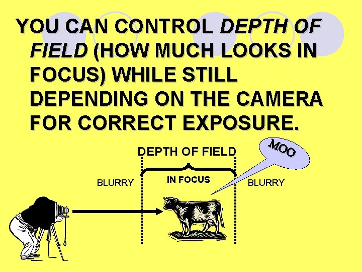YOU CAN CONTROL DEPTH OF FIELD (HOW MUCH LOOKS IN FOCUS) WHILE STILL DEPENDING