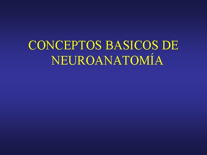 CONCEPTOS BASICOS DE NEUROANATOMÍA 