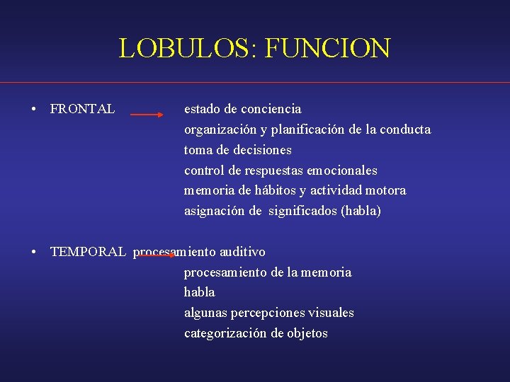 LOBULOS: FUNCION • FRONTAL estado de conciencia organización y planificación de la conducta toma