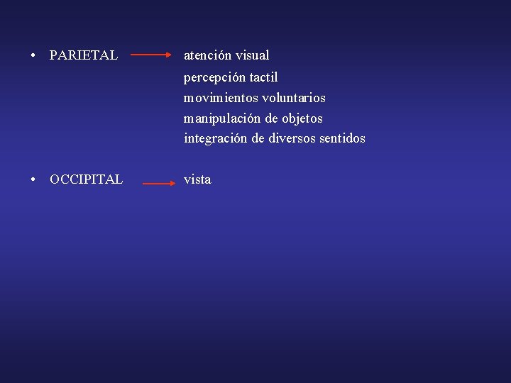  • PARIETAL atención visual percepción tactil movimientos voluntarios manipulación de objetos integración de