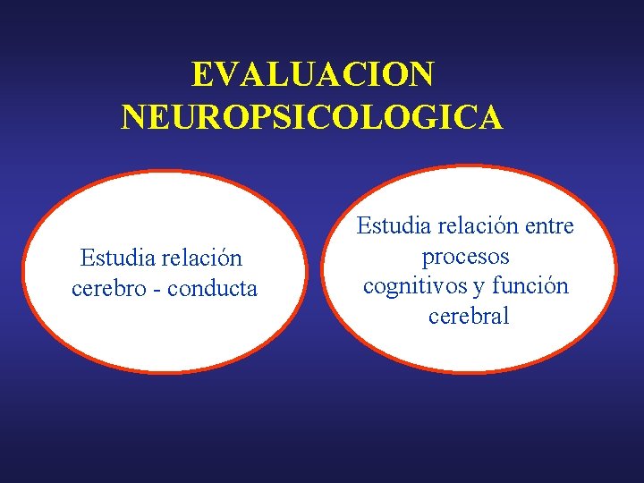 EVALUACION NEUROPSICOLOGICA Estudia relación cerebro - conducta Estudia relación entre procesos cognitivos y función