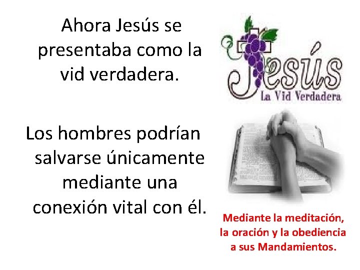  Ahora Jesús se presentaba como la vid verdadera. Los hombres podrían salvarse únicamente