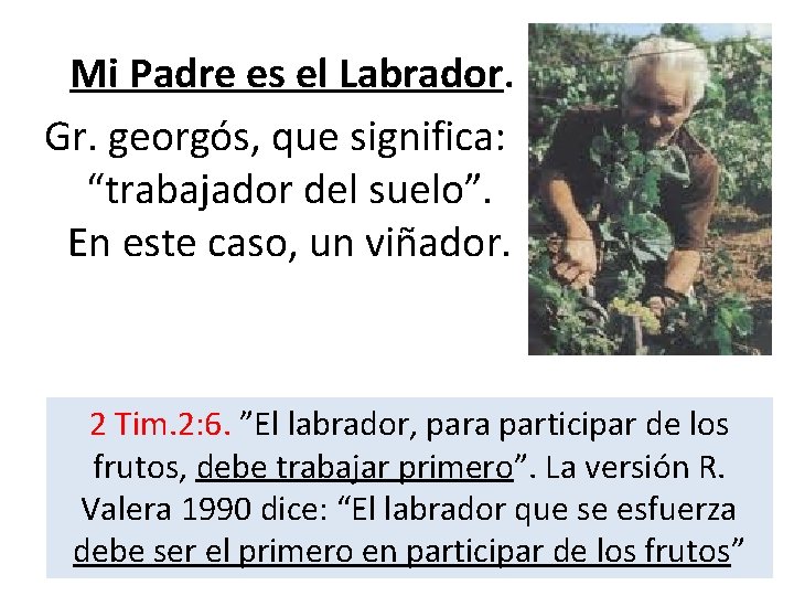 Mi Padre es el Labrador. Gr. georgós, que significa: “trabajador del suelo”. En este