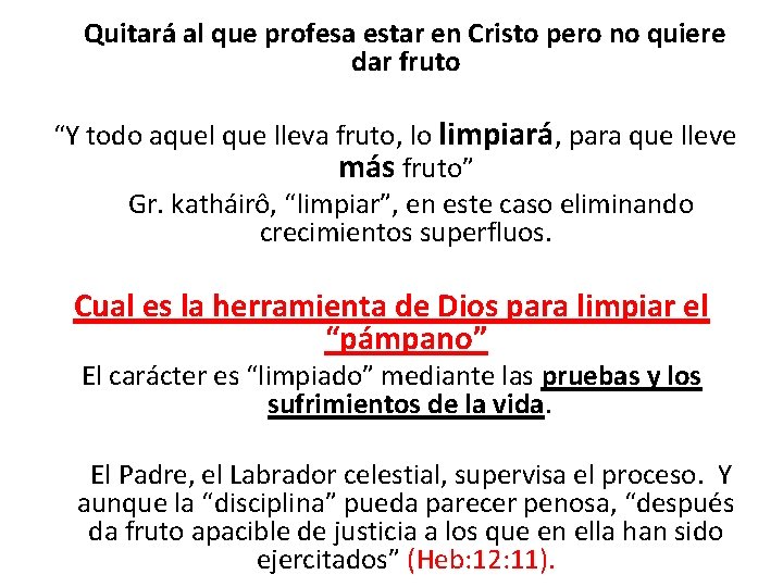  Quitará al que profesa estar en Cristo pero no quiere dar fruto “Y