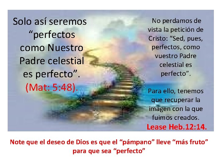  Solo así seremos “perfectos como Nuestro Padre celestial es perfecto”. (Mat: 5: 48).