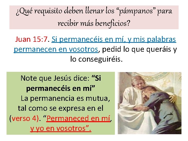 ¿Qué requisito deben llenar los “pámpanos” para recibir más beneficios? Juan 15: 7. Si