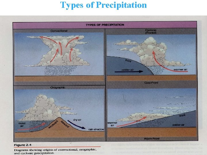 Types of Precipitation 