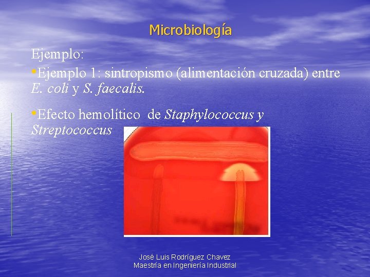 Microbiología Ejemplo: • Ejemplo 1: sintropismo (alimentación cruzada) entre E. coli y S. faecalis.