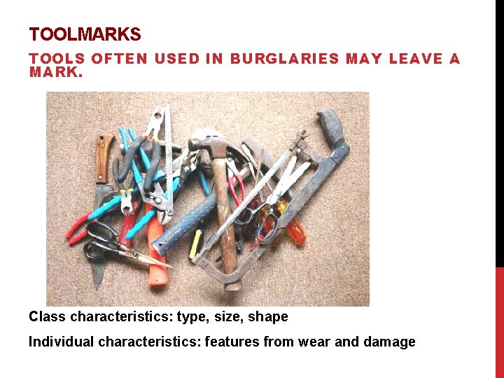 TOOLMARKS TOOLS OFTEN USED IN BURGLARIES MAY LEAVE A MARK. Class characteristics: type, size,