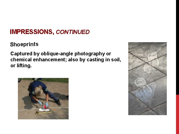 IMPRESSIONS, CONTINUED Shoeprints Captured by oblique-angle photography or chemical enhancement; also by casting in