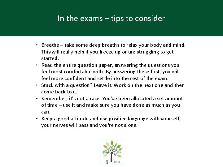 In the exams – tips to consider In your exams- tips for your daughter