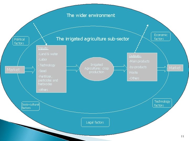 The wider environment The irrigated agriculture sub-sector Political factors Economic factors Inputs: -Land &
