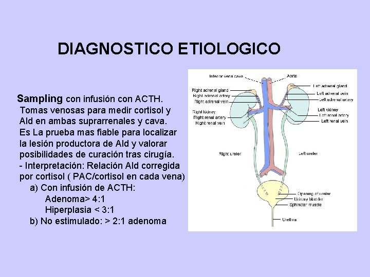 DIAGNOSTICO ETIOLOGICO Sampling con infusión con ACTH. Tomas venosas para medir cortisol y Ald